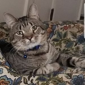 Meet your Posher, Keri